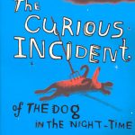 The curious incident of the dog in the night-time’ by Mark Haddon - book club in madrid ciervbo blanco literary gatherings